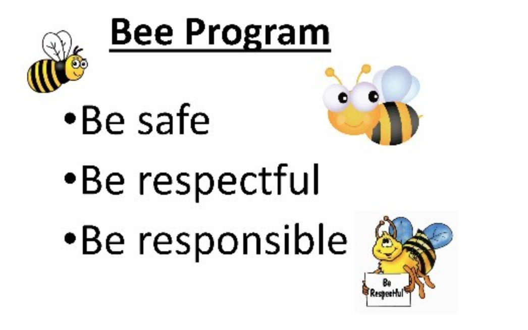 Bee Program